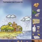 इयत्ता 7 वी Chapter 1 वनस्पतींमधील पोषण